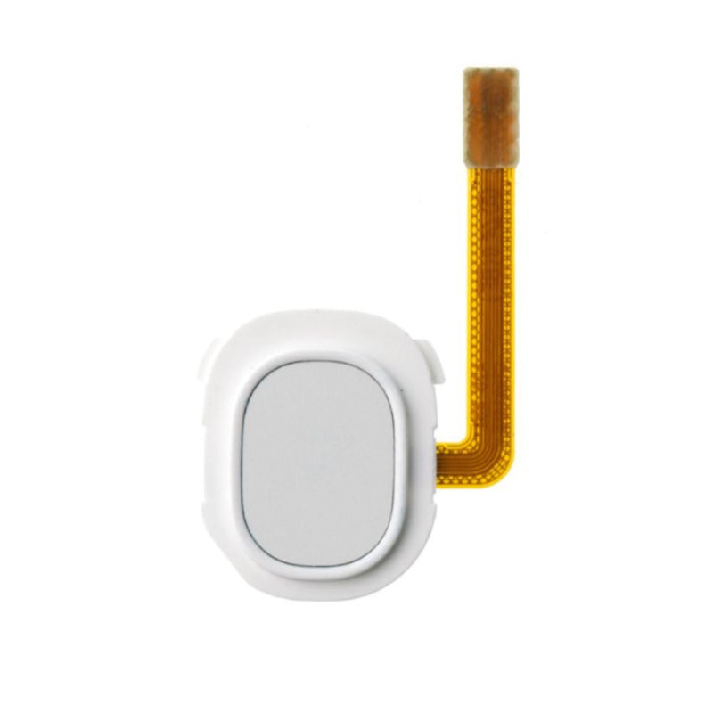 Load image into Gallery viewer, Samsung Galaxy A20e (A202) Home Button Fingerprint Sensor Flex - Polar Tech Australia