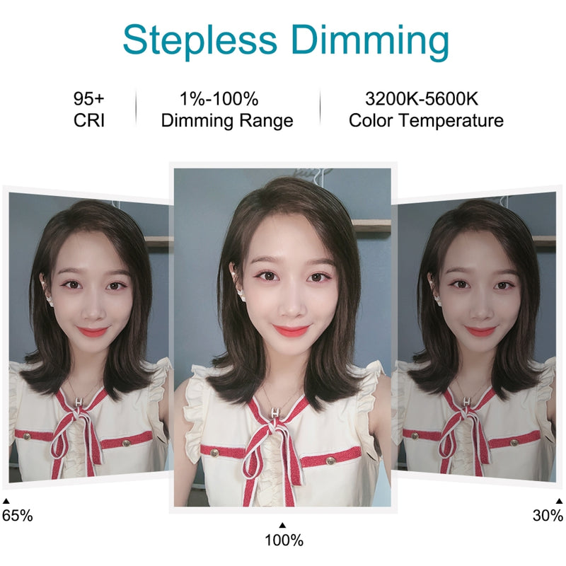 Load image into Gallery viewer, 10.2" (26cm) USB LED Ring Light – 3 Lighting Modes, Dimmable Dual-Colour Temperature with Folding Desktop Stand & Phone Holder - Polar Tech Australia