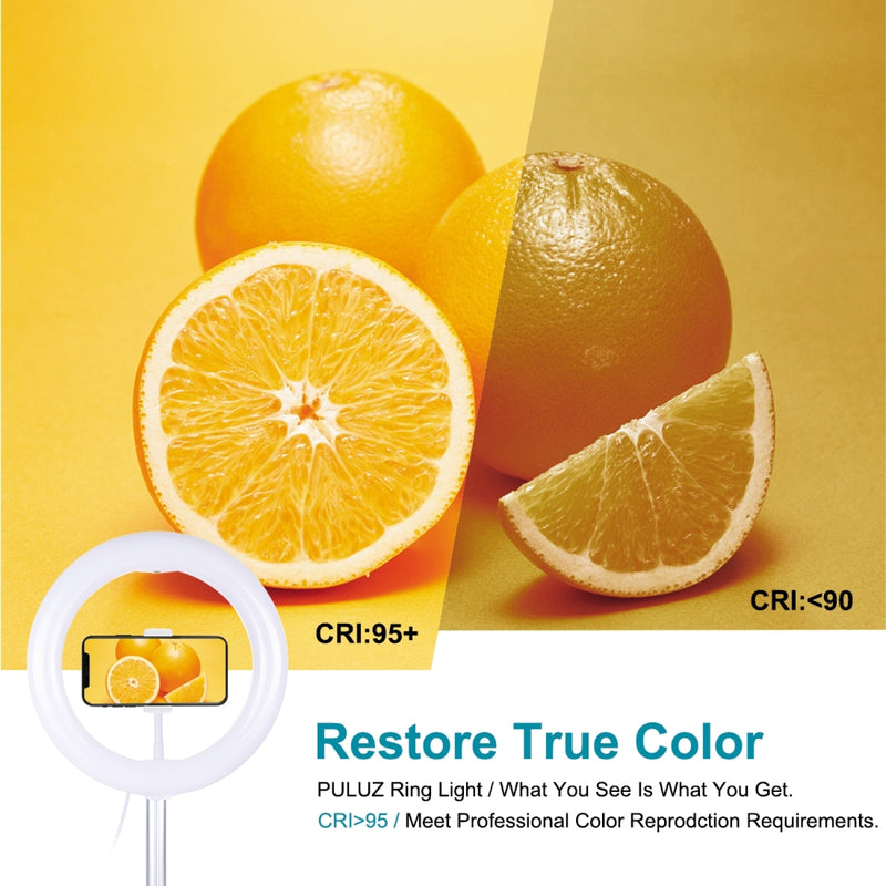 Load image into Gallery viewer, 10.2" (26cm) USB LED Ring Light – 3 Lighting Modes, Dimmable Dual-Colour Temperature with Folding Desktop Stand & Phone Holder - Polar Tech Australia