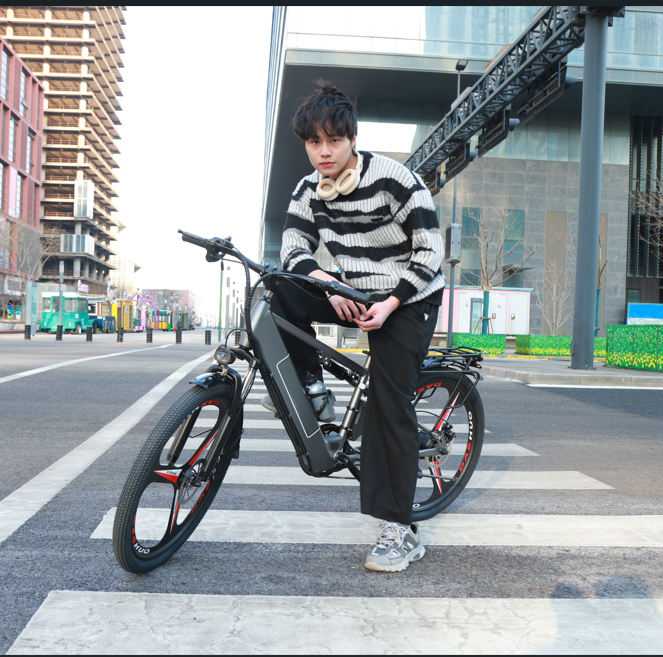 Load image into Gallery viewer, Flying Pigeon 400W 26 inch Wheel Type High Power Mountain Bike Long Range Electric Bike Bicycle - Polar Tech Australia