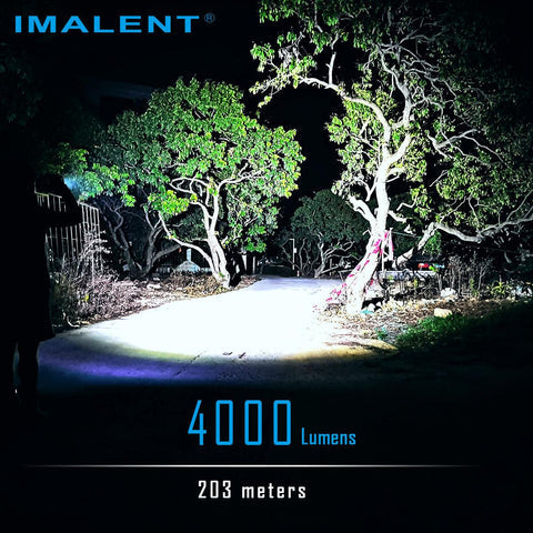 Cargue la imagen en el visor de la galería, [LD70] IMALENT Best EDC Flashlight

