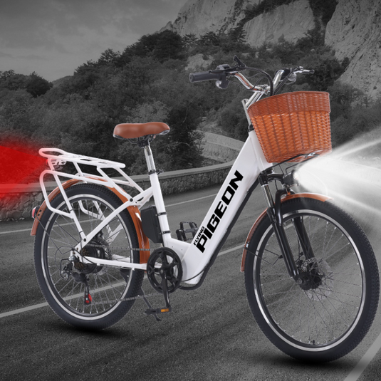 Flying Pigeon 350W 24 inch Wheel Type High Power Long Range Electric Bike Bicycle