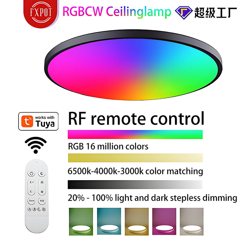 Load image into Gallery viewer, [TUYA Smart Home] RGB Dimmable LED 24W Ceiling Light Wireless Control Bedroom Living Room Light - Polar Tech Australia
