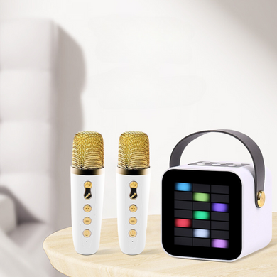 Portable Bluetooth Karaoke Speaker with LED, Wireless Handheld Microphone for Outdoor & Home Use - Polar Tech Australia