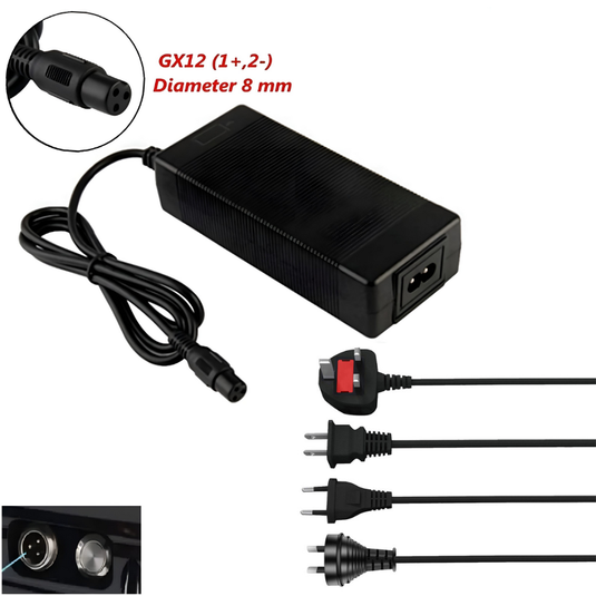 [48V-54.6V/3A][GX12 Plug] Universal For 48V 13S Li-Ion Lithium Battery Pack Electric Scooter EBike AC Power Adapter Charger
