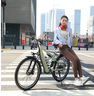 Load image into Gallery viewer, Flying Pigeon 400W 26 inch Wheel Type High Power Mountain Bike Long Range Electric Bike Bicycle
