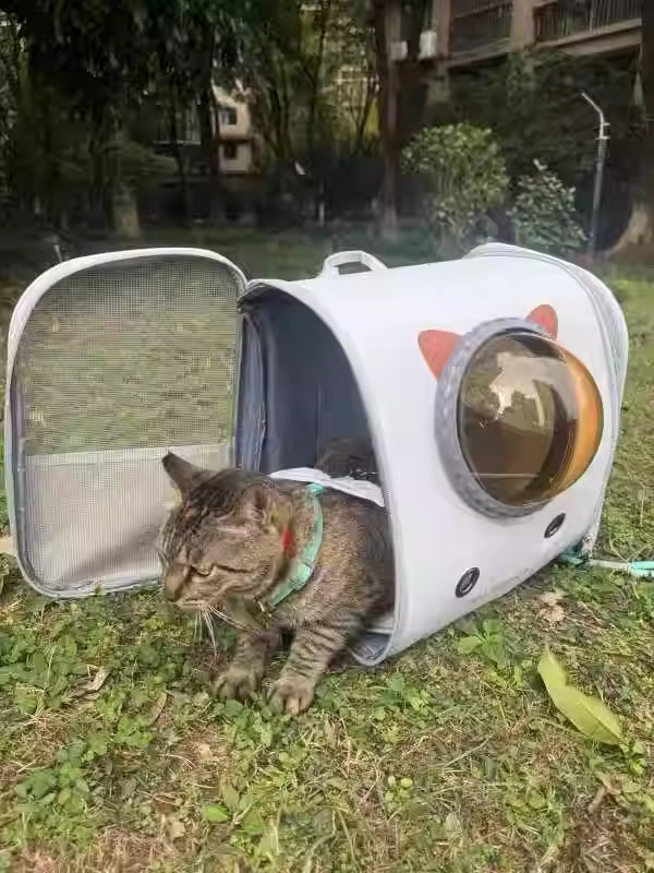 Chargez l&#39;image dans la visionneuse de la galerie, [Up to 6KG] Portable Lightweight Breathable Mesh Transparent Window Pet Cat Dog Carrying Bag
