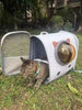 [Up to 6KG] Portable Lightweight Breathable Mesh Transparent Window Pet Cat Dog Carrying Bag