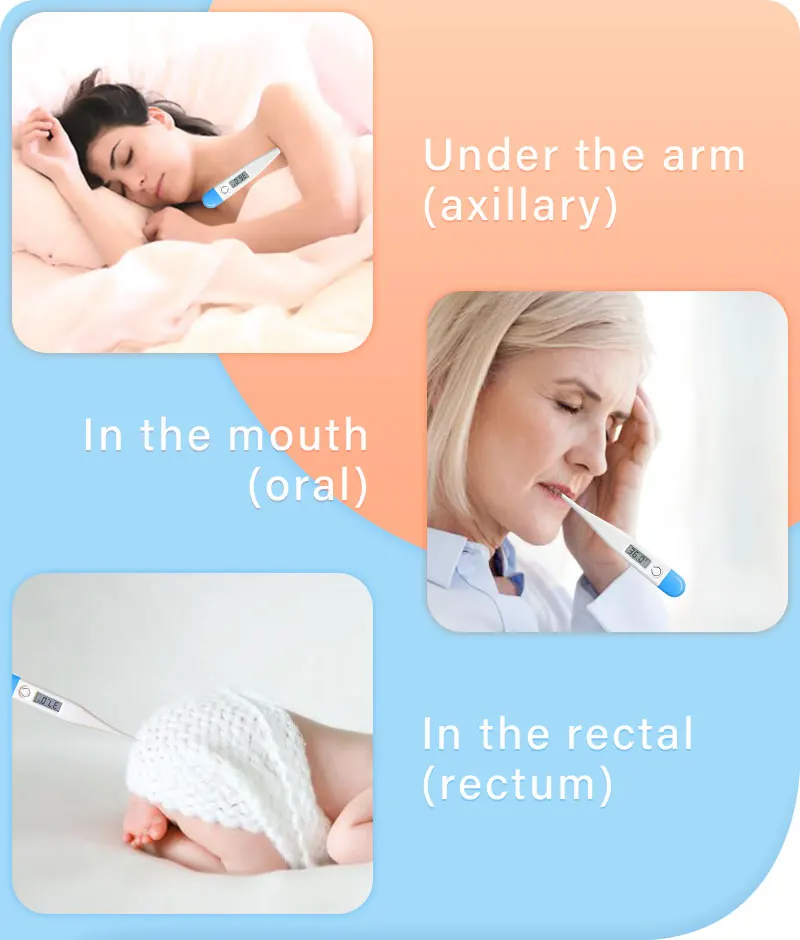 Cargue la imagen en el visor de la galería, [Thermometer] Baby Thermometers Pulse Oximeter Finger Digital Thermometer Accurate Oral Armpit Temperature Reading Fever Alert Termometer - Polar Tech Australia
