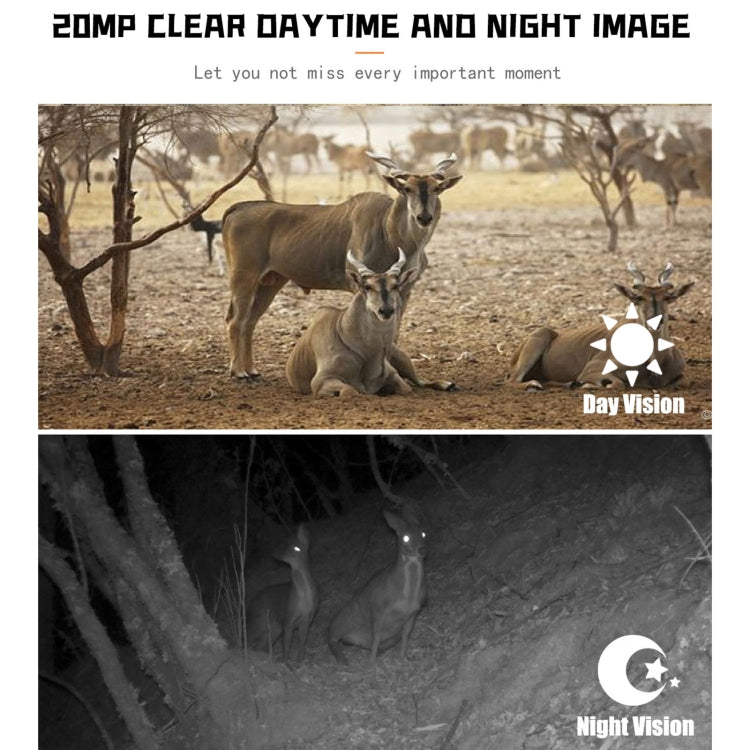 Load image into Gallery viewer, [PR700] 1080P Wildlife Hunting Camera Motion Activated Night Vision Camcorder for Outdoor Tracking Scan Trigger - Polar Tech Australia
