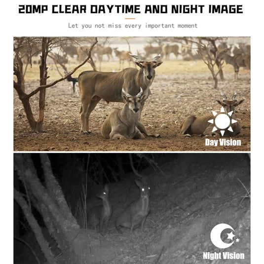 [PR700] 1080P Wildlife Hunting Camera Motion Activated Night Vision Camcorder for Outdoor Tracking Scan Trigger - Polar Tech Australia