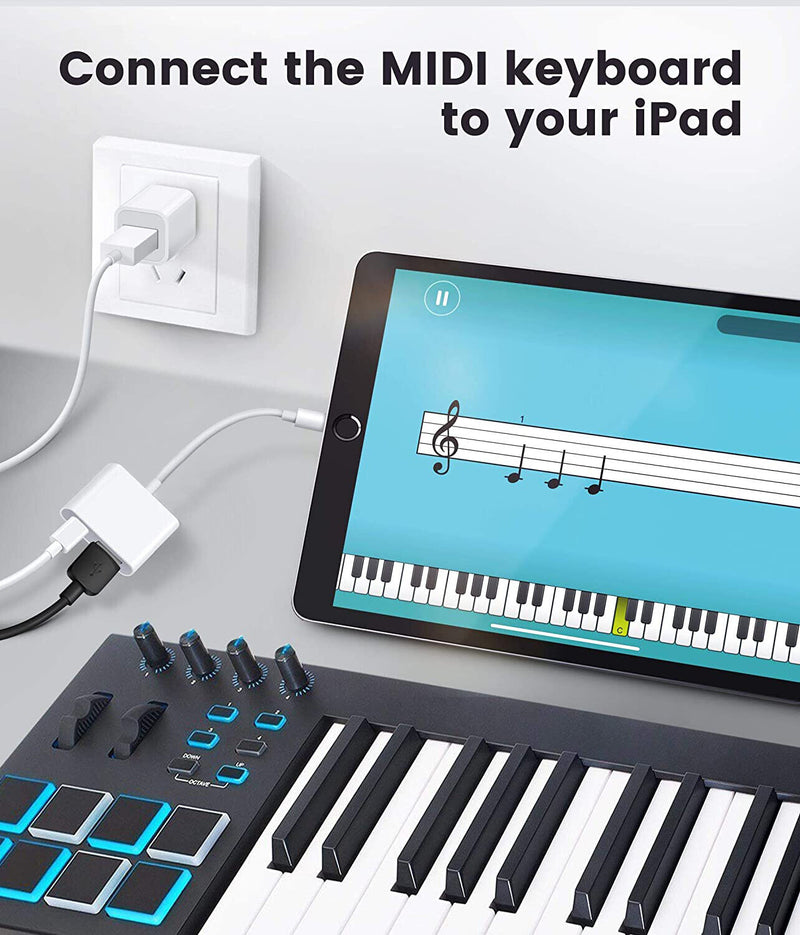 Cargue la imagen en el visor de la galería, Apple Lightning to Female USB &amp; USB-C Type-C OTG Adapter - Polar Tech Australia
