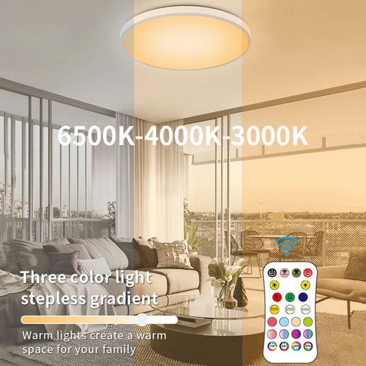 [TUYA Smart Home] RGB Dimmable LED 24W Ceiling Light Wireless Control Bedroom Living Room Light - Polar Tech Australia