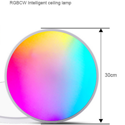 [TUYA Smart Home] RGB Dimmable LED 24W Ceiling Light Wireless Control Bedroom Living Room Light - Polar Tech Australia