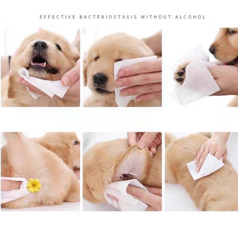 Cargue la imagen en el visor de la galería, [150 Wipes][15cm x 20cm][Alcohol Free] AST Pet Animal Cleaning Soft Wipes With Aloe &amp; Vitamin E - Polar Tech Australia
