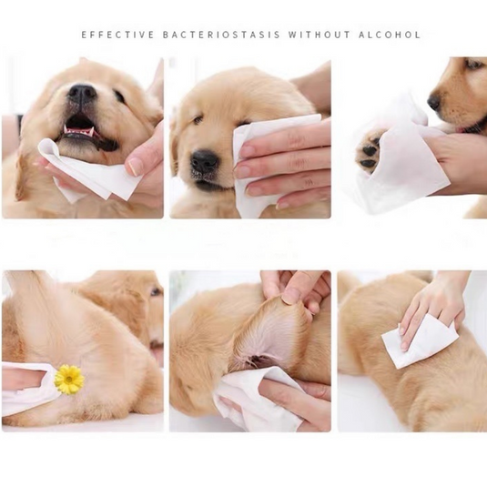 [150 Wipes][15cm x 20cm][Alcohol Free] AST Pet Animal Cleaning Soft Wipes With Aloe & Vitamin E - Polar Tech Australia