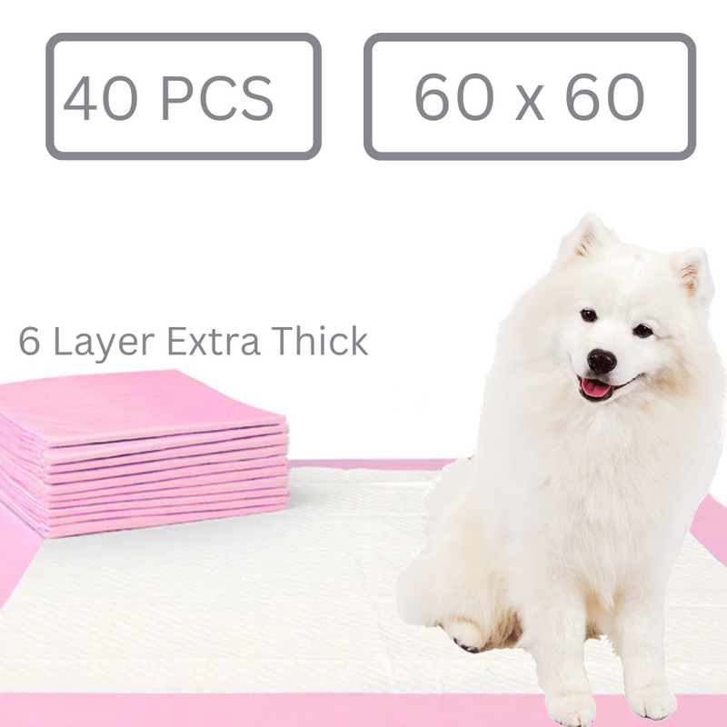 Load image into Gallery viewer, [40 Pads][60cm x 60cm][Extra Thick] Large Size Dog PEE Pad Disposable Dog Puppy Training pad - Polar Tech Australia
